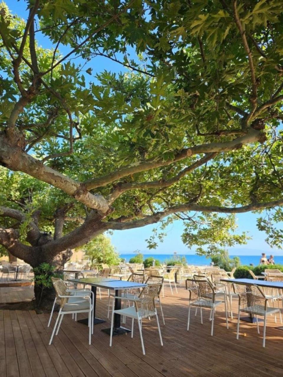 Ninos Grand Beach Resort Kastrosikia Zewnętrze zdjęcie